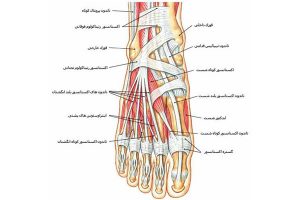 6 نقص رایج در پاها و روش درمان آن